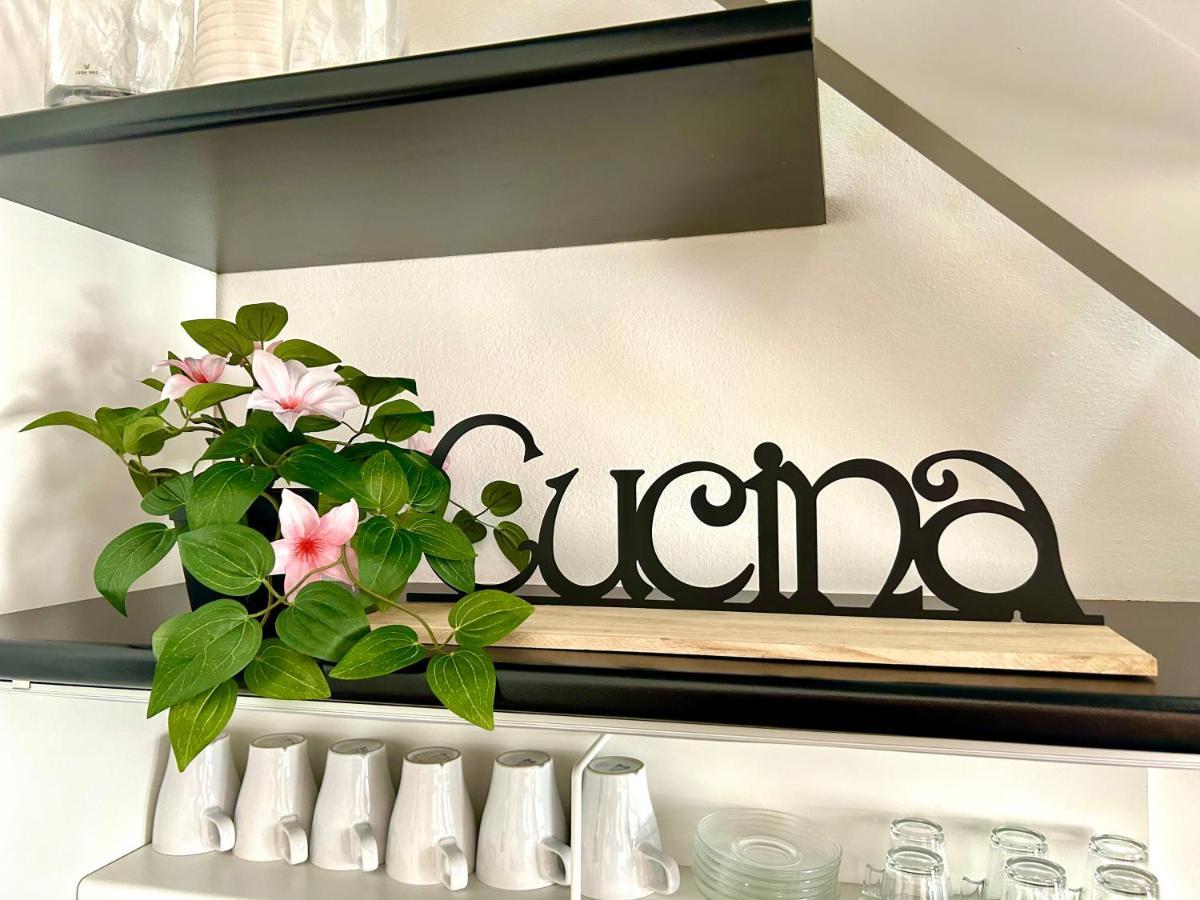 D-Place Apartment Piazza Duomo 克雷马 外观 照片