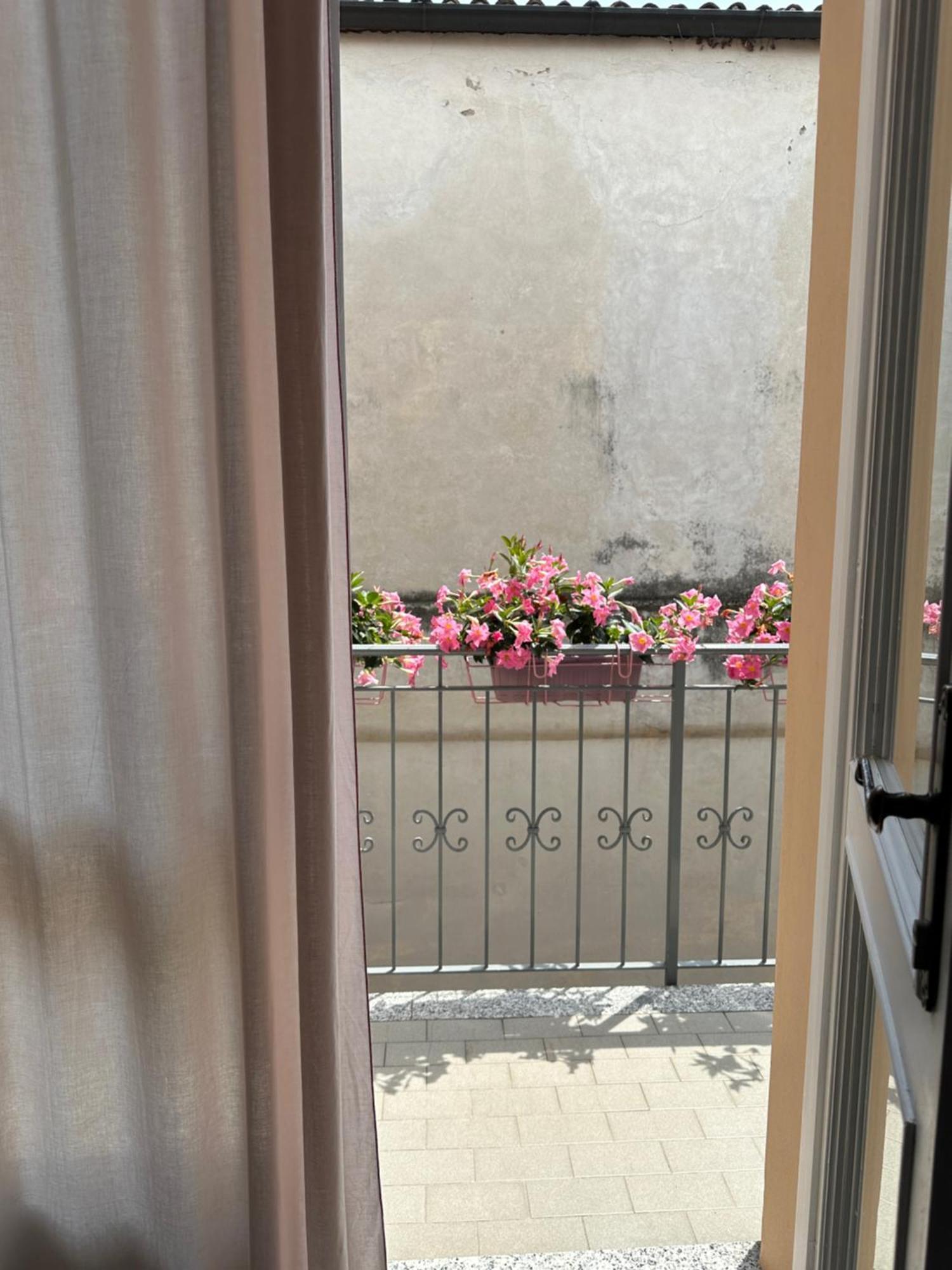 D-Place Apartment Piazza Duomo 克雷马 外观 照片