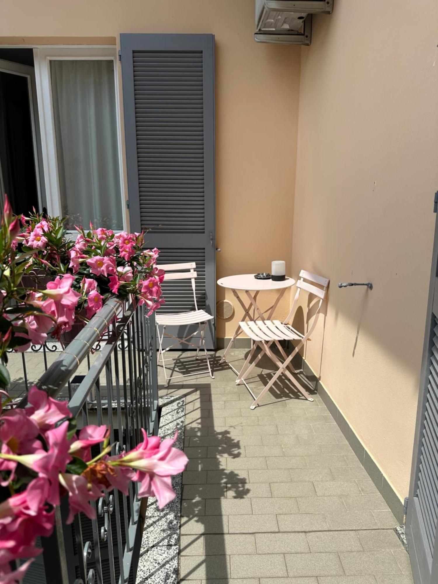 D-Place Apartment Piazza Duomo 克雷马 外观 照片